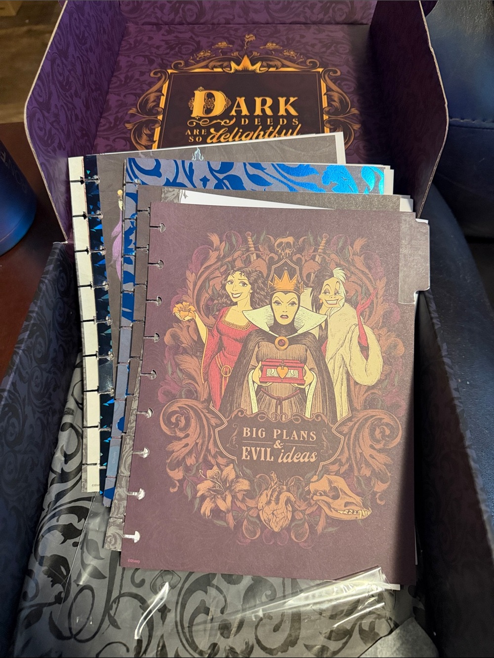 Disney Villains 'Big Plans & Evil Ideas' Happy Planner Classic Undated Year